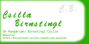 csilla birnstingl business card